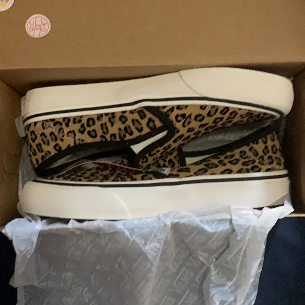 Cheetah Vans